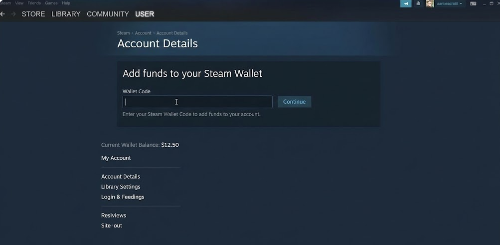 Steam wallet code instant delivery Bangladesh